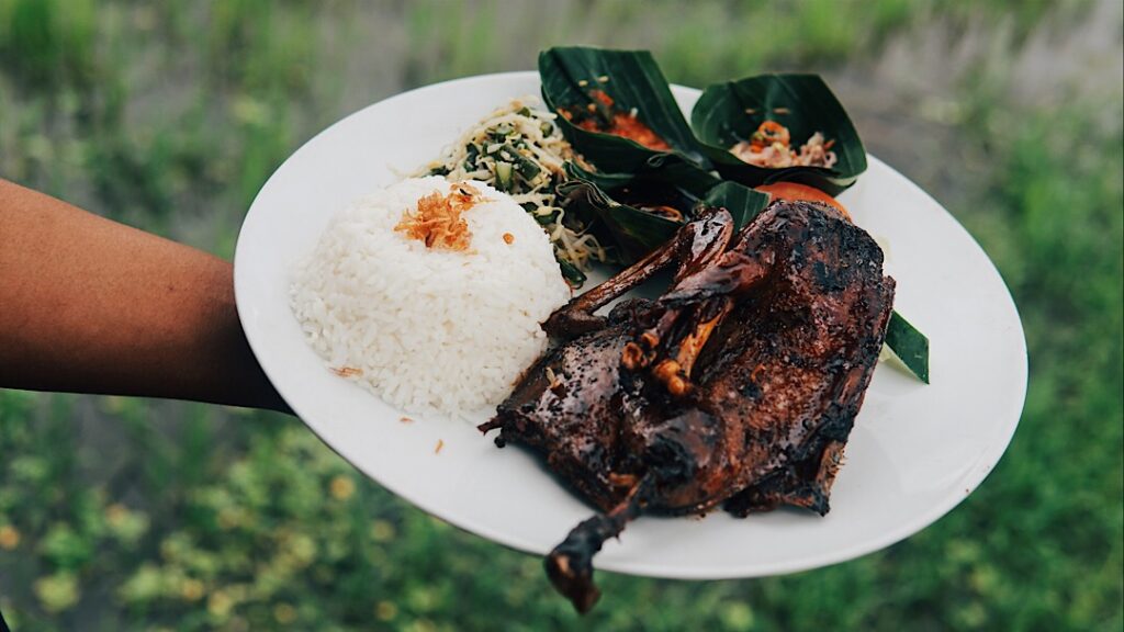 A plate of roast duck with white rice held over a rice paddy